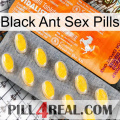 Black Ant Sex Pills new05